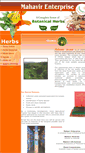 Mobile Screenshot of mahavirenterprise.com
